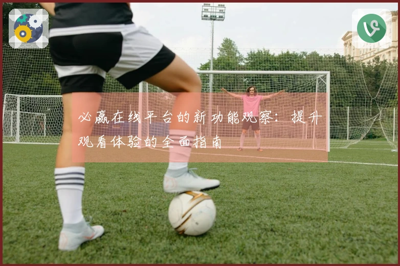 必赢在线平台的新功能观察：提升观看体验的全面指南