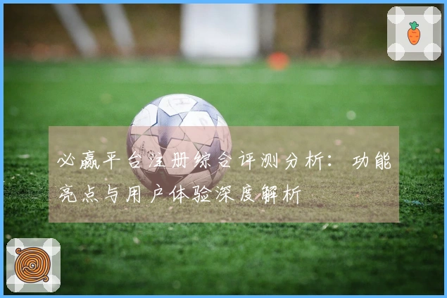 必赢平台注册综合评测分析：功能亮点与用户体验深度解析